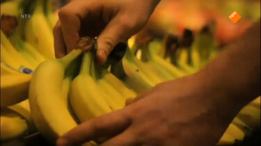 Het Klokhuis: Banaan