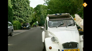 Huisje Boompje Beestje: Tekens in het verkeer