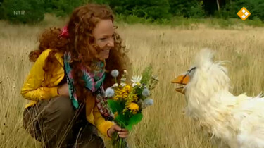 Huisje Boompje Beestje: Bloemen