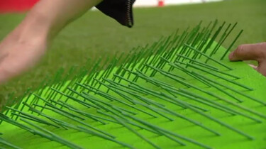 Waarom heeft een voetbalveld banen op het gras?: Het geheim van donkergroen en lichtgroen gras
