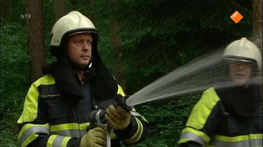Koekeloere: Arie in de nesten