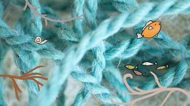 1 Minuutje natuur: Ik zou ’t liefst een karper willen zijn