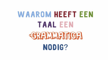 Waarom heeft een taal een grammatica nodig?