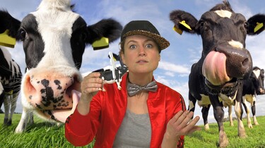 Waarom rijden we niet op koeien?