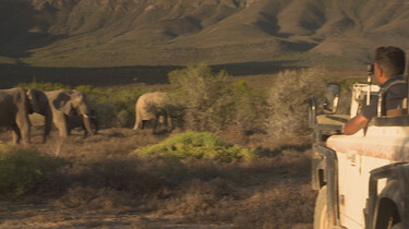 Het Klokhuis: Zuid-Afrika: Wilde dieren