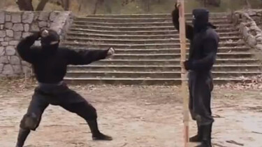 Ninja’s kunnen zichzelf onzichtbaar maken : Is het snugger of kletspraat?
