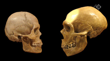 De Kennis van Nu in de klas: De mysterieuze verdwijning van de neanderthaler
