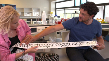 Wat is DNA?