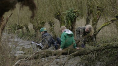 Wildernis onder water