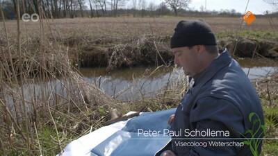 Wildernis onder water