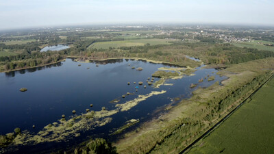 Vroege Vogels