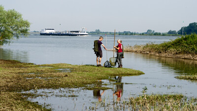 Wildernis onder water