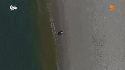 Hollandse Meesters in de 21e Eeuw