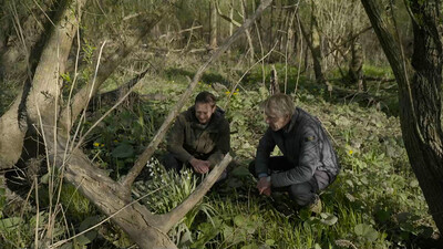 Vroege Vogels