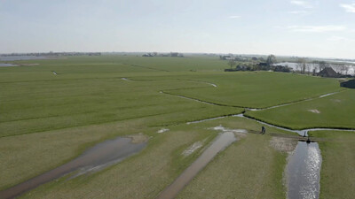 Vroege Vogels