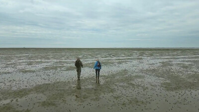Fryslân DOK