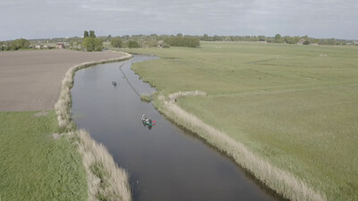 Vroege Vogels