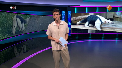 NOS Jeugdjournaal