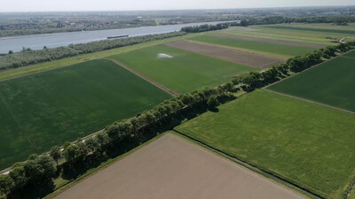 Vroege Vogels