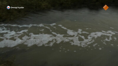 Fryslân DOK