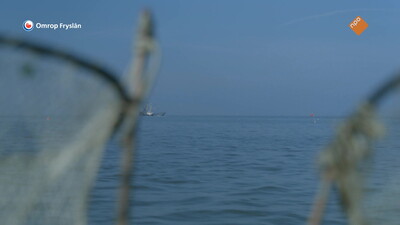 Fryslân DOK