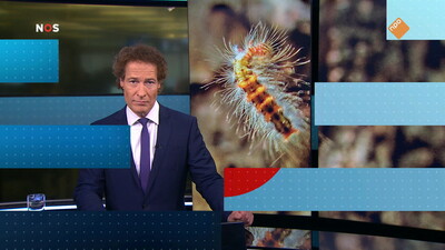 NOS Journaal in Makkelijke Taal