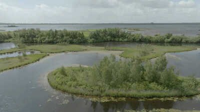 Vroege Vogels