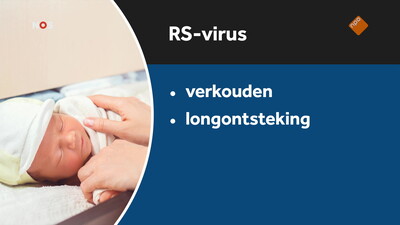 NOS Journaal in Makkelijke Taal