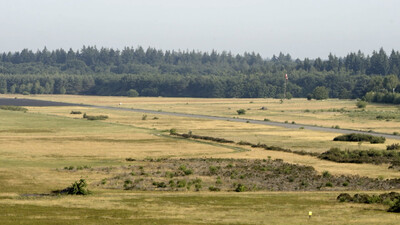 Vroege Vogels