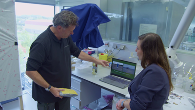 Stand van Nederland: Wereld op Scherp