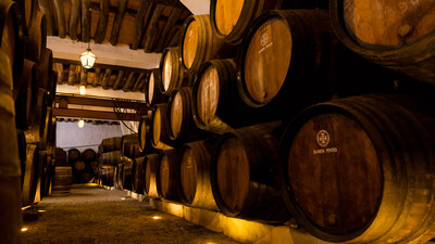 Wie is de Mol? 25 jaar