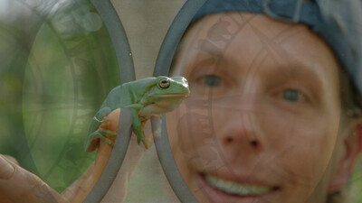 Freeks wilde wereld