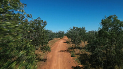 Freeks wilde wereld