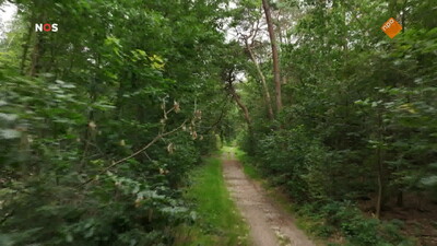 NOS Journaal in Makkelijke Taal