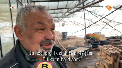 NOS Journaal in Makkelijke Taal