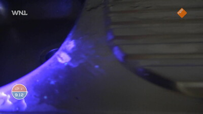 Goedemorgen Nederland