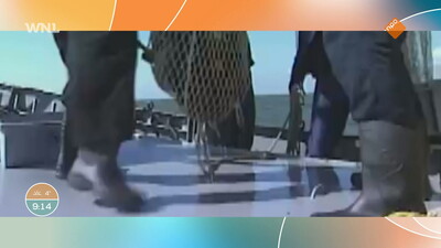 Goedemorgen Nederland