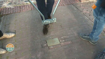 Goedemorgen Nederland