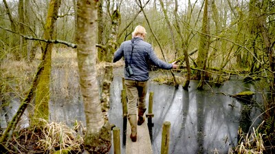 Vroege Vogels