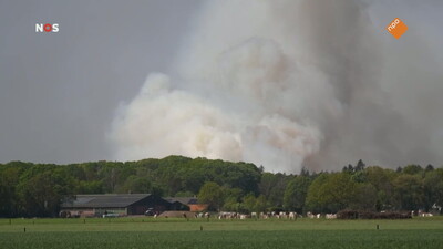 NOS Journaal