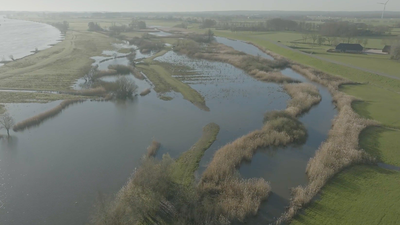 Vroege Vogels