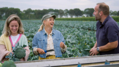 Onze boerderij: de oogst