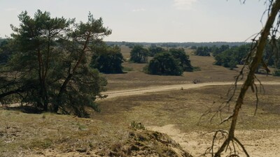 BinnensteBuiten
