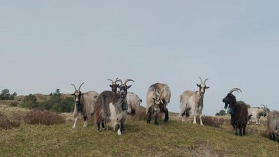 BinnensteBuiten