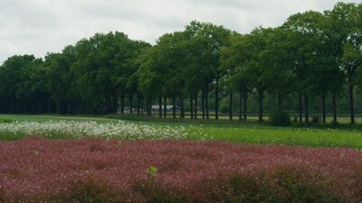 BinnensteBuiten