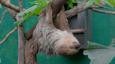 Het echte leven in de dierentuin