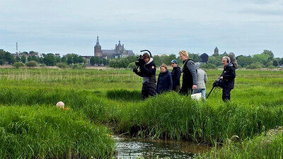 Vroege Vogels