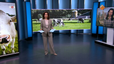 NOS Journaal