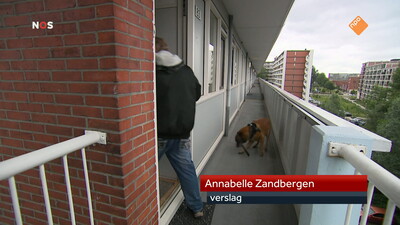 NOS Journaal