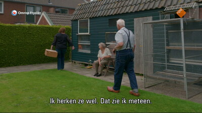 Fryslân DOK